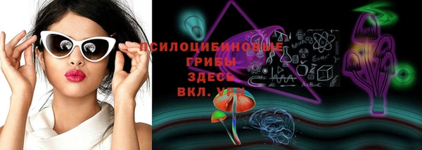 соль курить ск Липки
