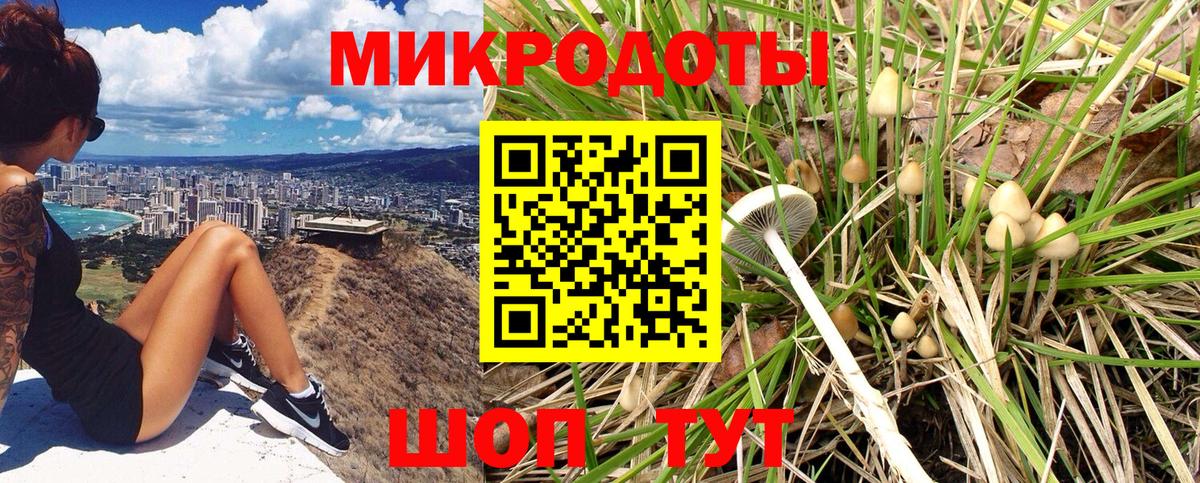 Галлюциногенные грибы Psilocybine cubensis Белорецк